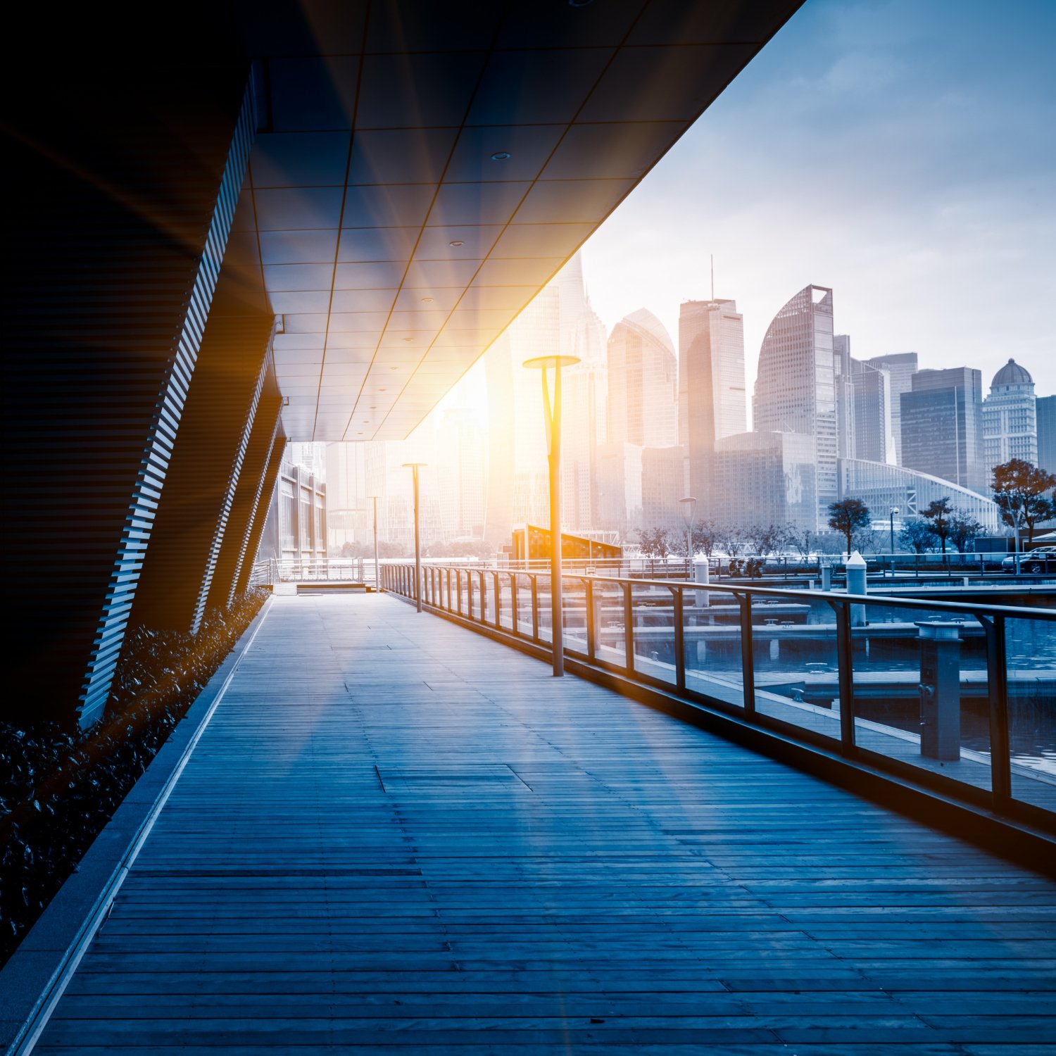 North Star Hakkında